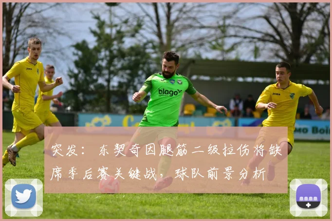 突发:东契奇因腿筋二级拉伤将缺席季后赛关键战,球队前景分析