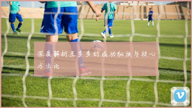 深度解析王多多的成功秘诀与核心方法论