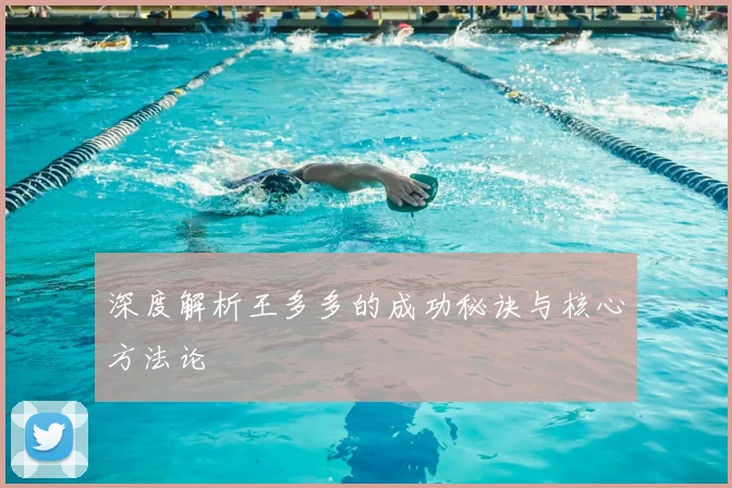 深度解析王多多的成功秘诀与核心方法论