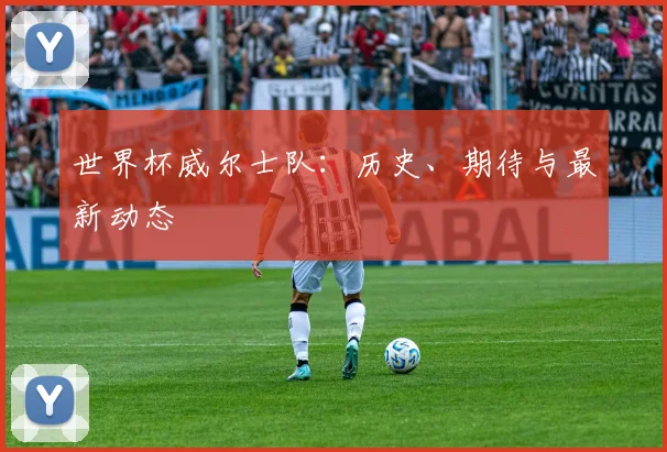 世界杯威尔士队：历史、期待与最新动态